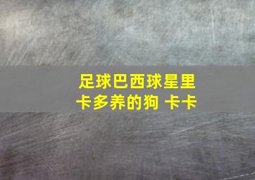 足球巴西球星里卡多养的狗 卡卡